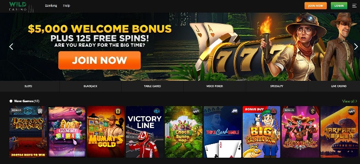 Wild Casino