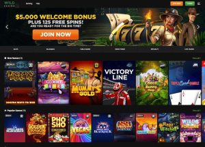 wild casino real money casino review